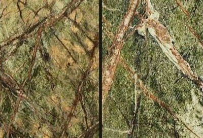 Mármol verde selva tropical